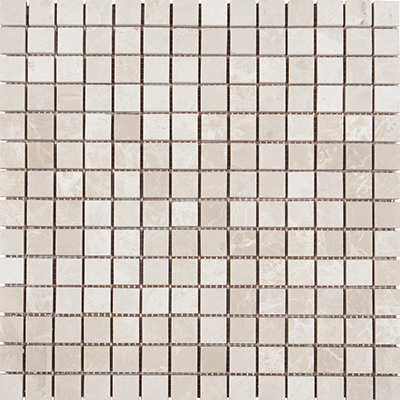 2x2 Ice Beige Mosaic Polished